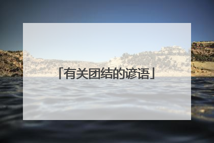 有关团结的谚语