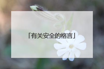 有关安全的格言