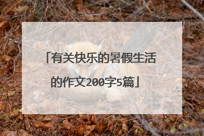 有关快乐的暑假生活的作文200字5篇