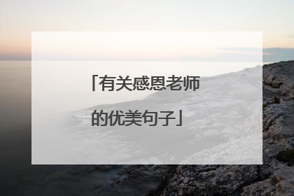 有关感恩老师的优美句子