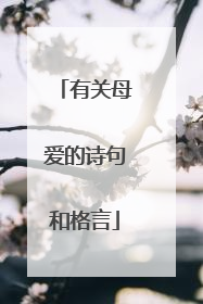 有关母爱的诗句和格言
