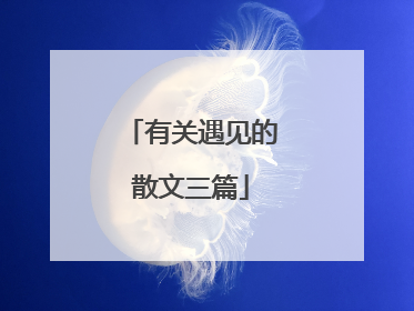 有关遇见的散文三篇