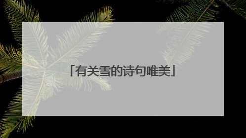 有关雪的诗句唯美