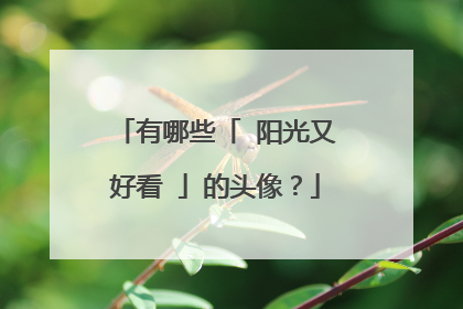 有哪些「 阳光又好看 」的头像？
