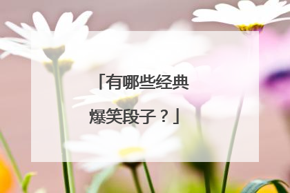 有哪些经典爆笑段子？