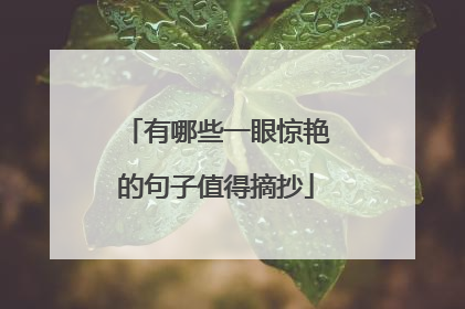 有哪些一眼惊艳的句子值得摘抄