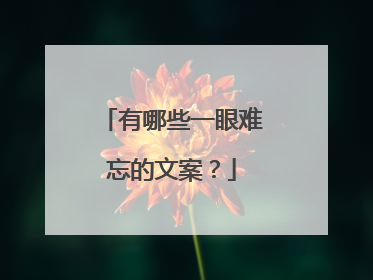 有哪些一眼难忘的文案？