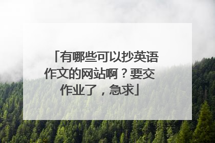有哪些可以抄英语作文的网站啊？要交作业了，急求