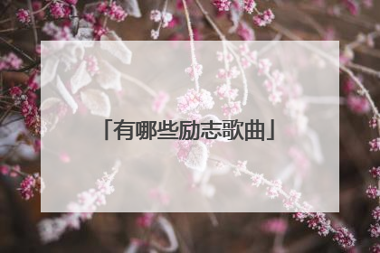 有哪些励志歌曲