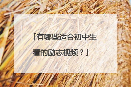 有哪些适合初中生看的励志视频？