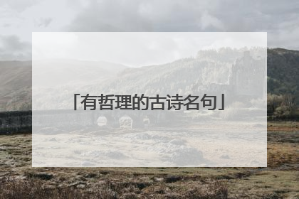 有哲理的古诗名句