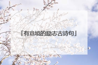 有意境的励志古诗句