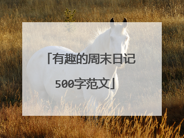 有趣的周末日记500字范文