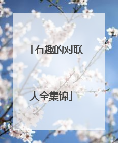有趣的对联大全集锦