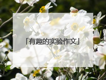 有趣的实验作文