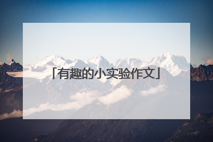 有趣的小实验作文