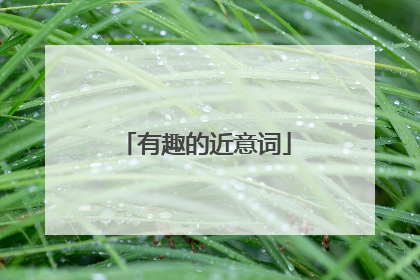 有趣的近意词