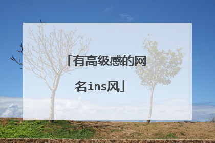 有高级感的网名ins风
