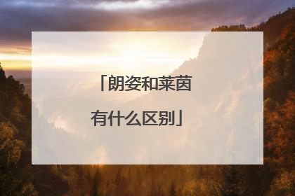 朗姿和莱茵有什么区别