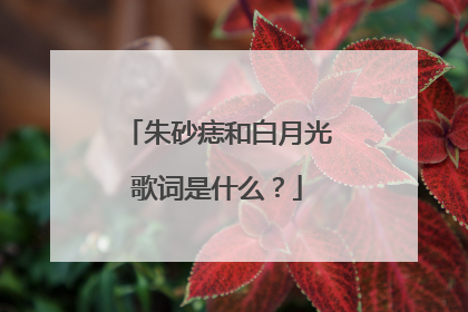 朱砂痣和白月光歌词是什么？