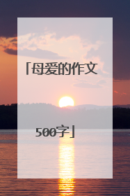 母爱的作文500字