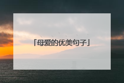 母爱的优美句子