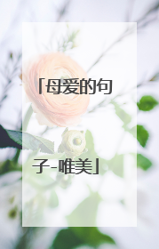 母爱的句子-唯美