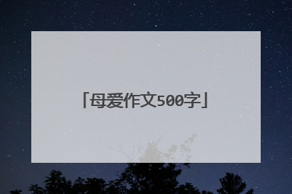 母爱作文500字