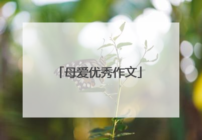 母爱优秀作文