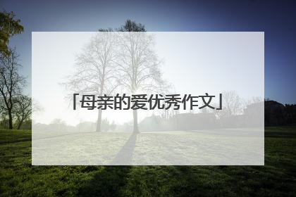 母亲的爱优秀作文