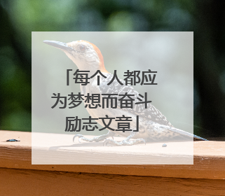 每个人都应为梦想而奋斗励志文章