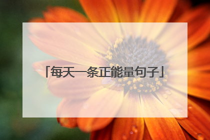 每天一条正能量句子