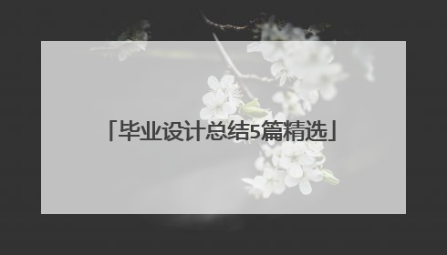 毕业设计总结5篇精选