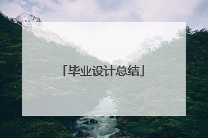 毕业设计总结