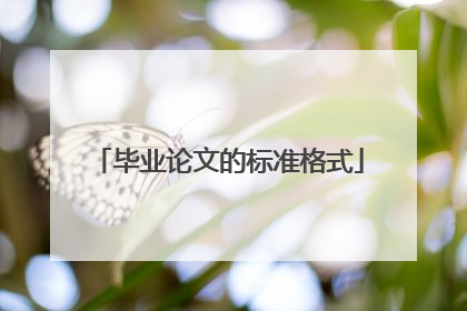 毕业论文的标准格式