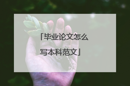 毕业论文怎么写本科范文