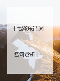 毛泽东诗词名句赏析