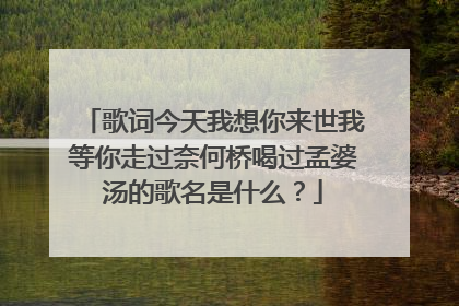 歌词今天我想你来世我等你走过奈何桥喝过孟婆汤的歌名是什么？