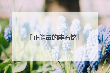 正能量的座右铭
