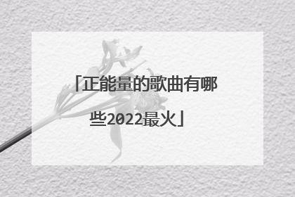 正能量的歌曲有哪些2022最火