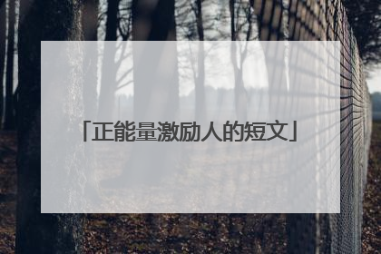 正能量激励人的短文