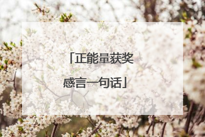 正能量获奖感言一句话