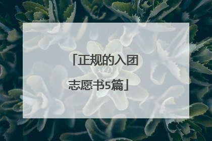 正规的入团志愿书5篇