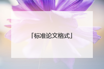 标准论文格式