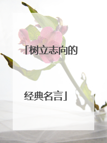 树立志向的经典名言