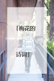 梅花的诗词