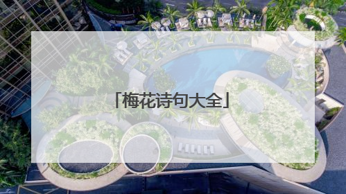 梅花诗句大全
