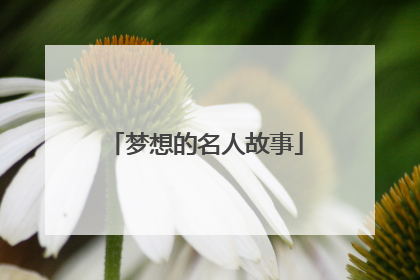 梦想的名人故事