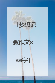 梦想记叙作文800字
