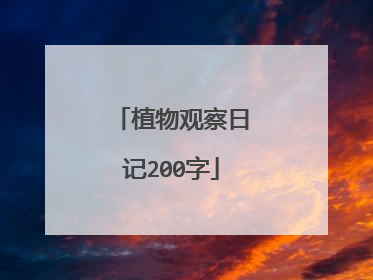 植物观察日记200字